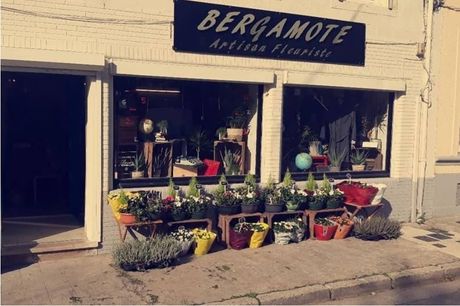 Bergamote-fleurs à Pepinster